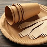 Disposable tableware